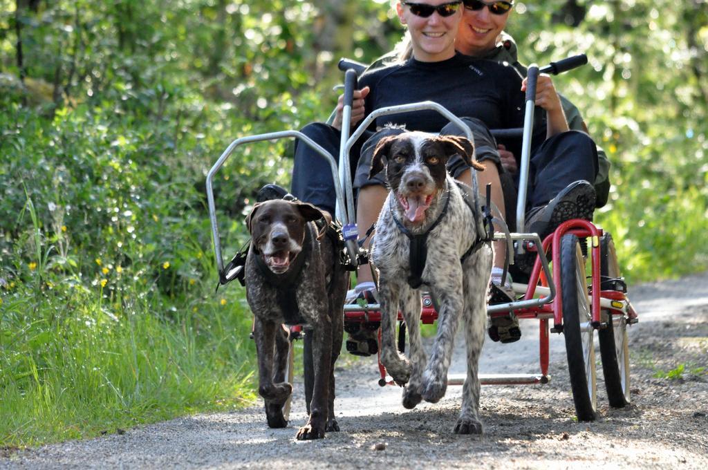 Birkelund Camping Geilo Luaran gambar