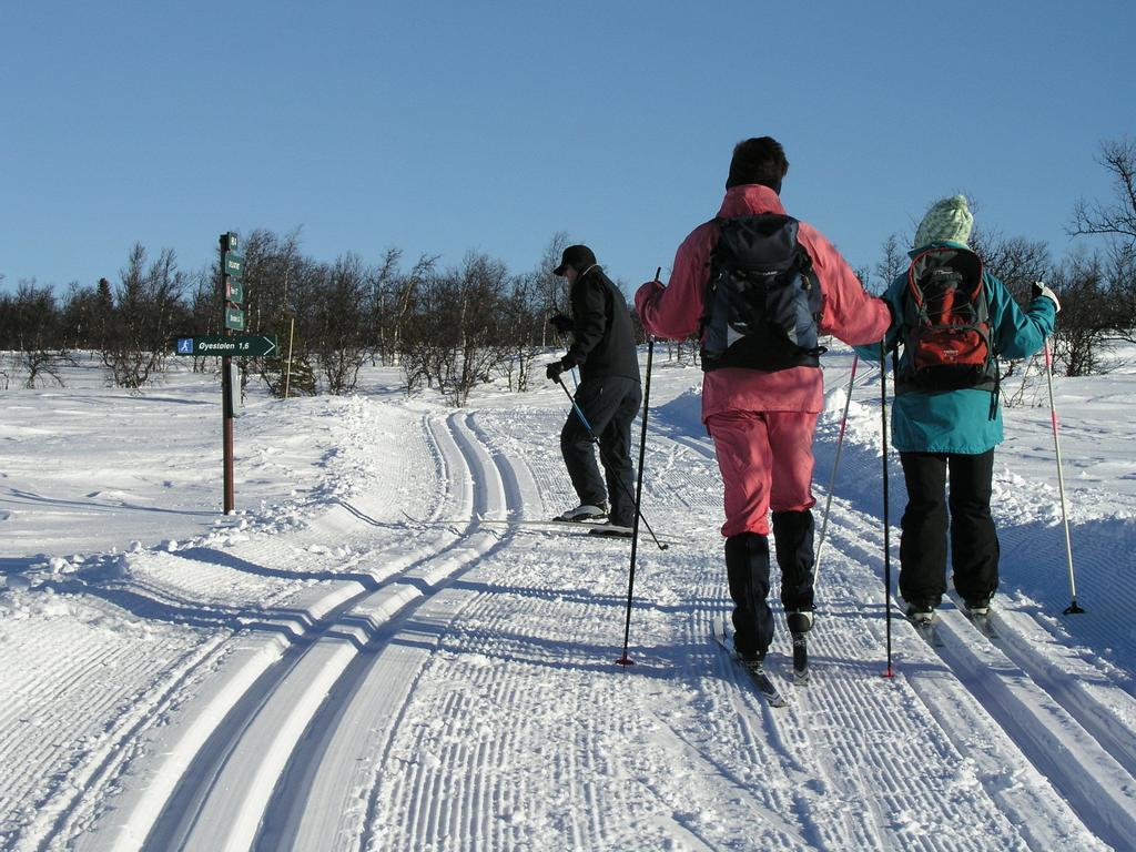 Birkelund Camping Geilo Luaran gambar