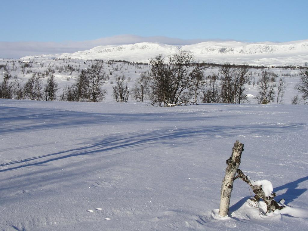 Birkelund Camping Geilo Luaran gambar