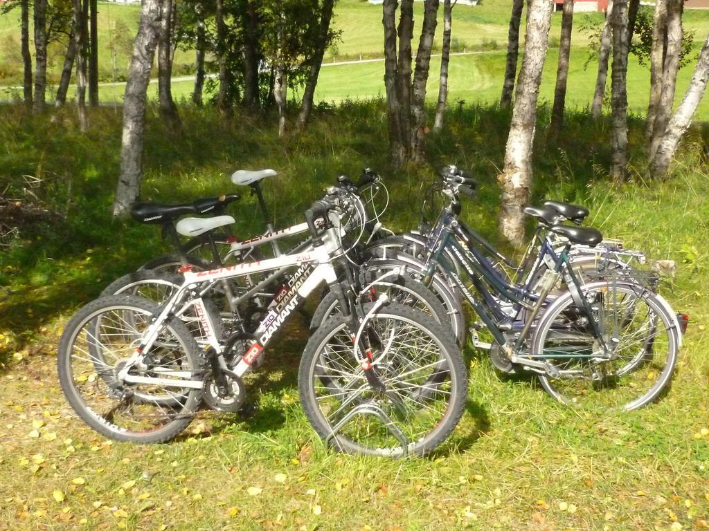 Birkelund Camping Geilo Luaran gambar